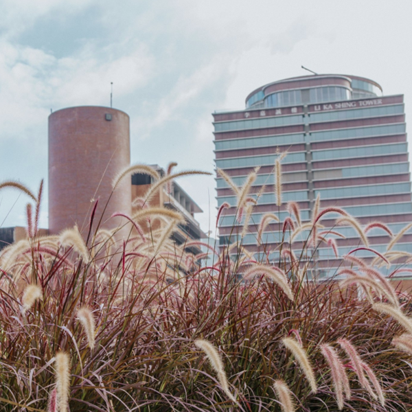 PolyU campus