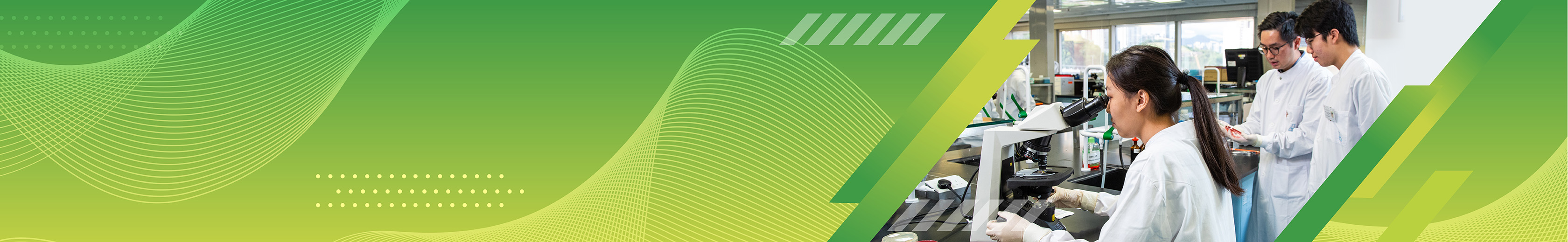 MLS_banner_1_type 2