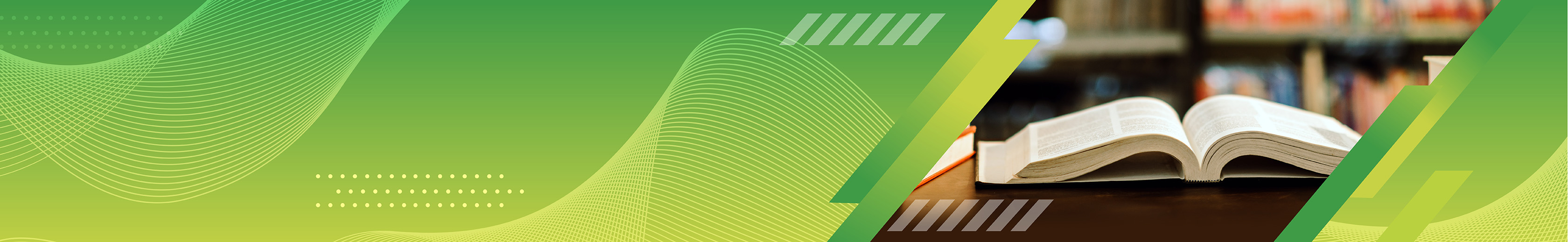 Publication_banner_type 2