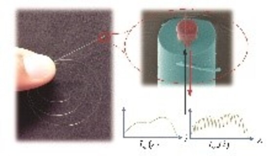 Optical Fiber-Top Microcavity CO2 Sensor